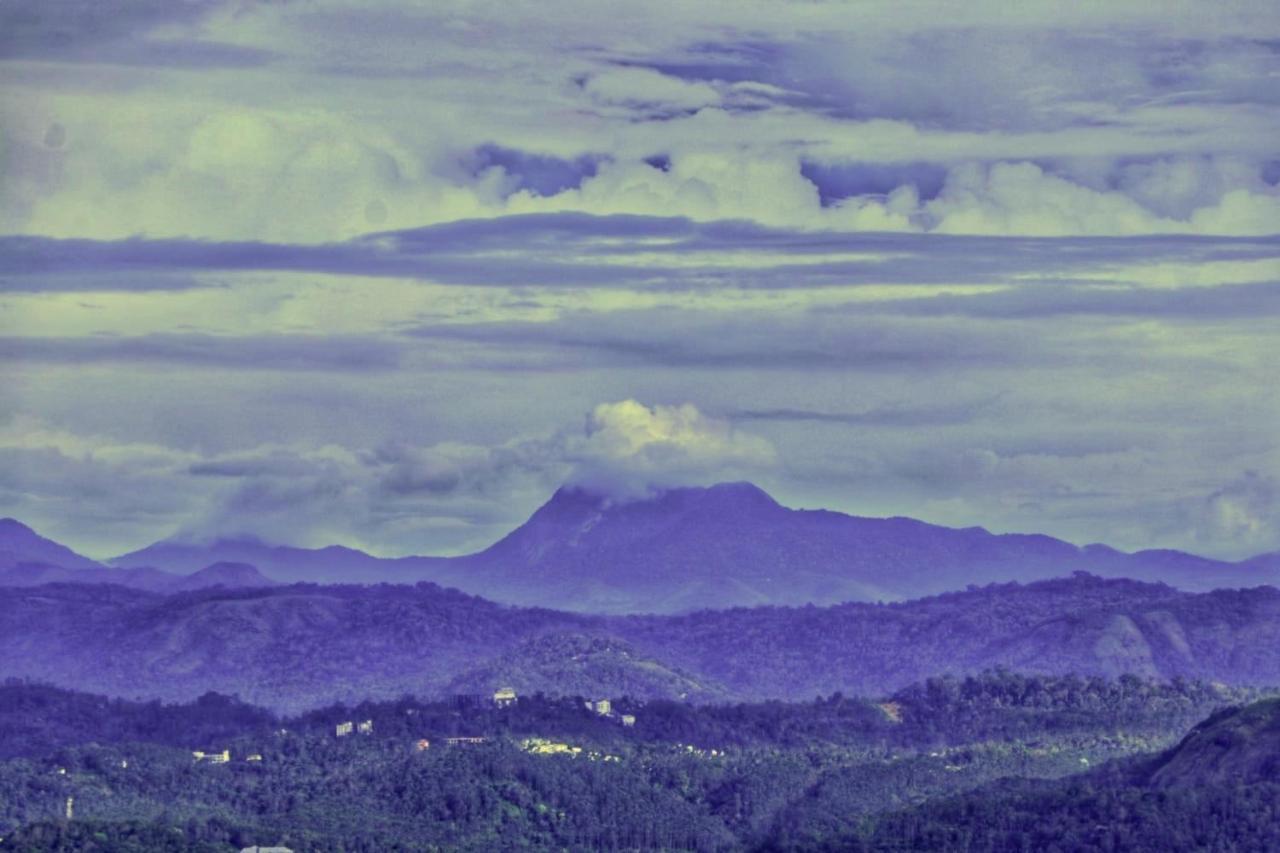 Wild Mist Homestay Munnar Extérieur photo
