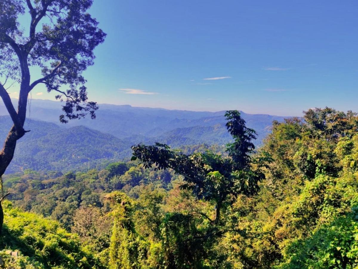 Wild Mist Homestay Munnar Extérieur photo